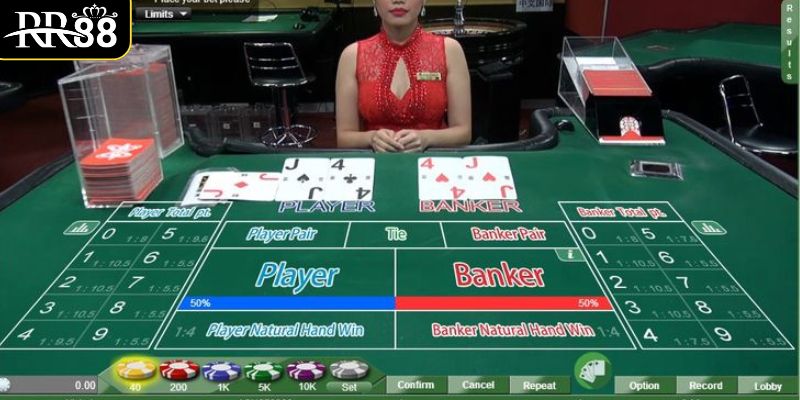 cac-tu-ngu-chuyen-dung-trong-casino-co-ban