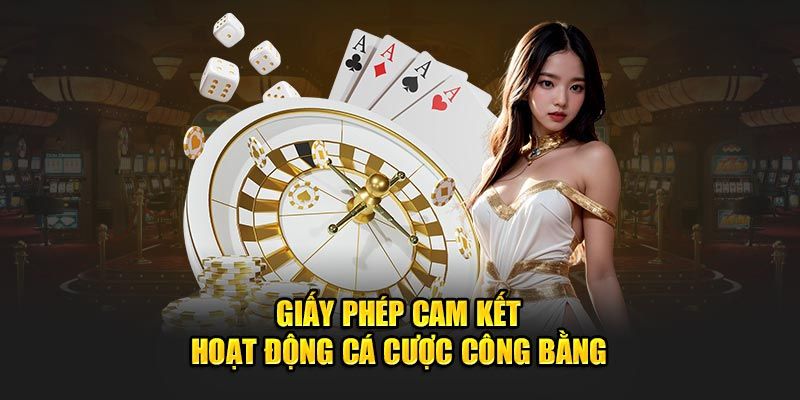 Đôi nét giải thích về giấy phép hoạt động