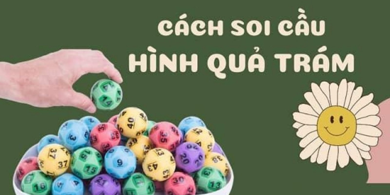 Học cách soi cầu quả trám theo hướng dẫn của chuyên gia