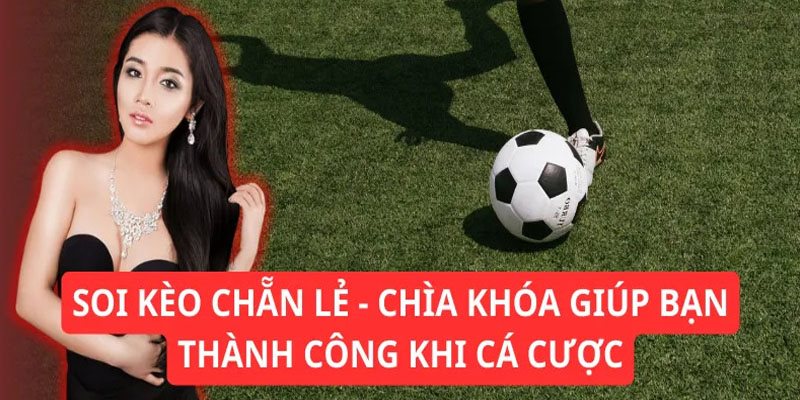 Tips chốt cược E/O từ chuyên gia nổi tiếng